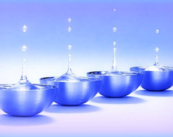 워터 보울(water bowls)